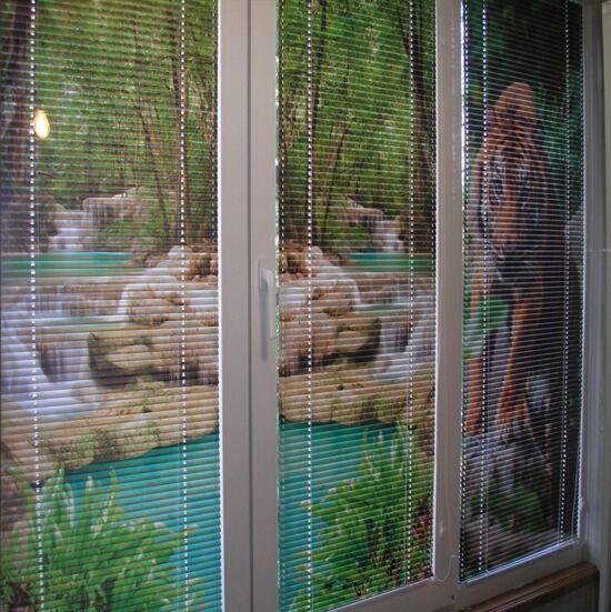 Алюминиевые горизонтальные жалюзи с рисунком